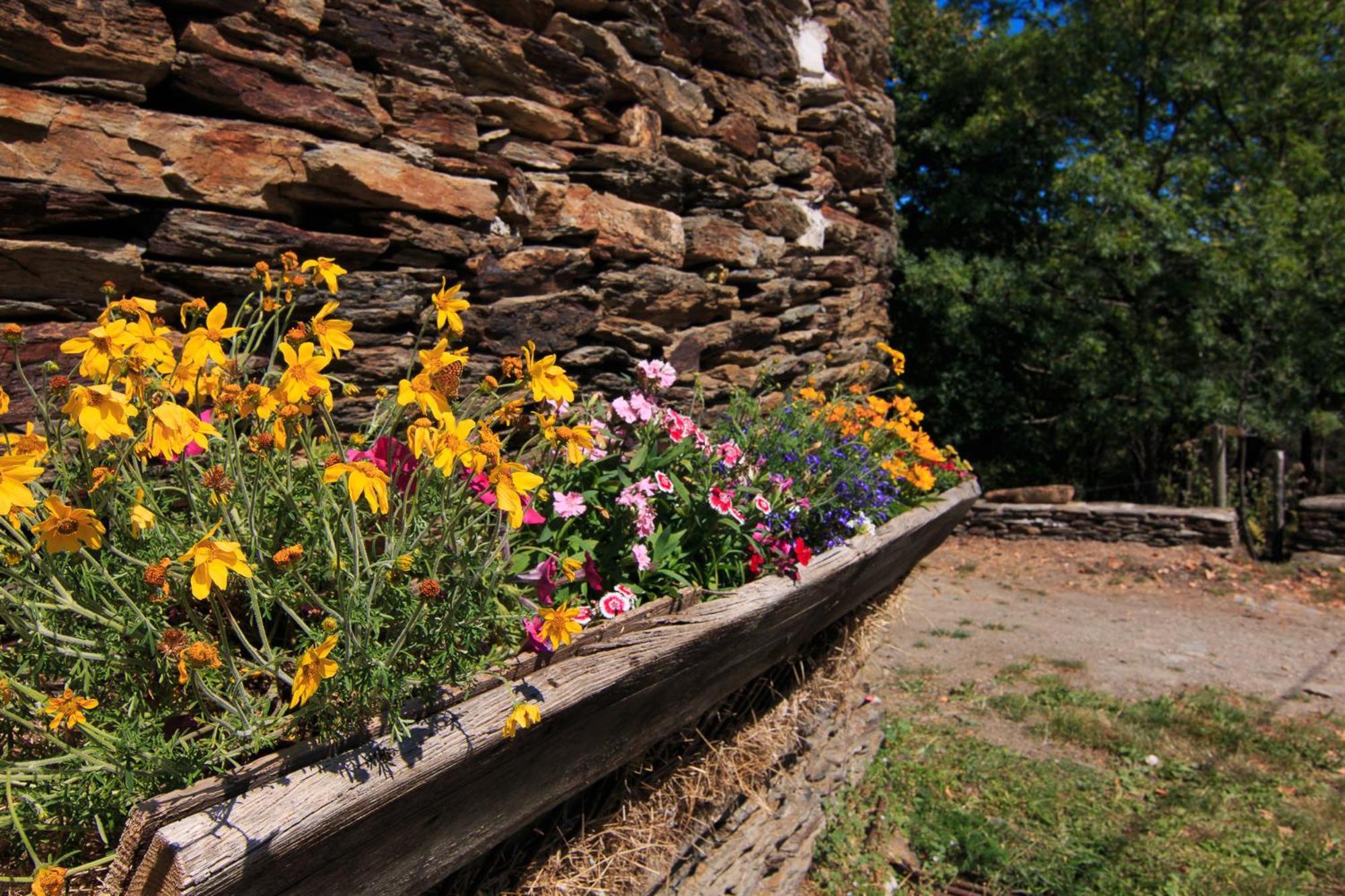 Gites Des Esperelles Saint-Privat-de-Vallongue Quarto foto